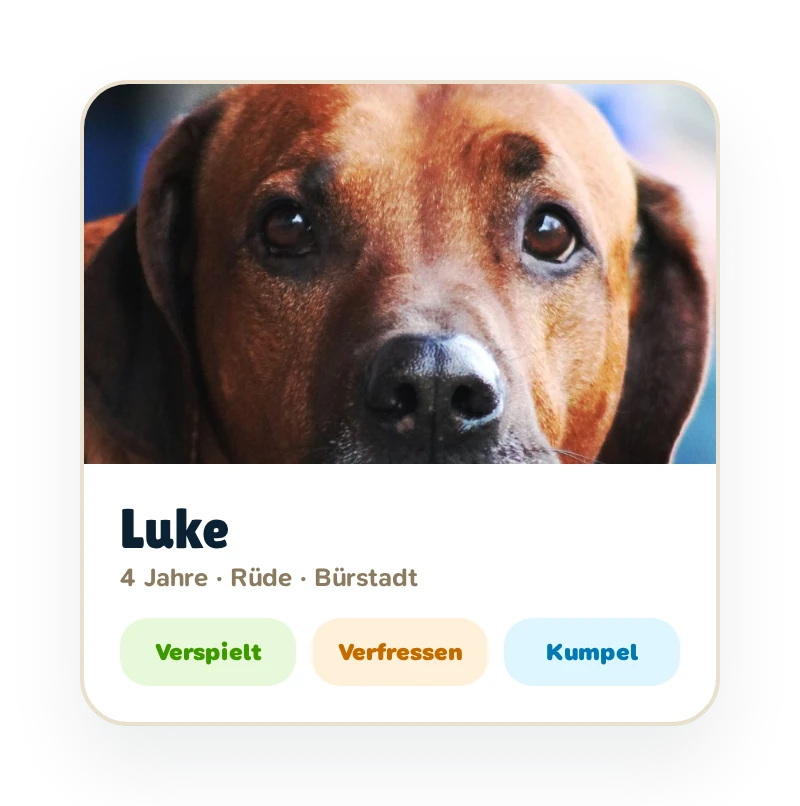 Hundeprofile im eigenen Rudel verwalten